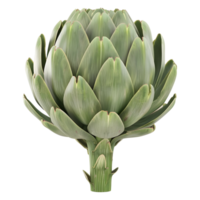 3D Rendering of a Fresh Artichoke on Transparent Background png