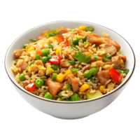 3D Rendering of a Indian Biryani in a Bowl on Transparent Background png