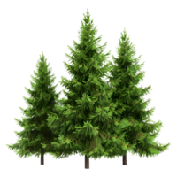 3d representación de un verde árbol en transparente antecedentes png