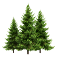 3D Rendering of a Green Tree on Transparent Background png