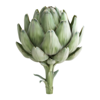 3D Rendering of a Fresh Artichoke on Transparent Background png