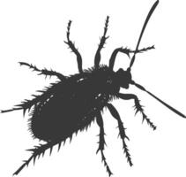 Silhouette lice animal black color only vector