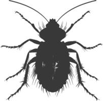 Silhouette lice animal black color only vector