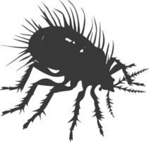 Silhouette lice animal black color only vector