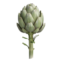 3D Rendering of a Fresh Artichoke on Transparent Background png