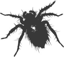 Silhouette lice animal black color only vector