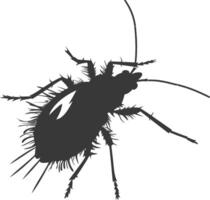 Silhouette lice animal black color only vector