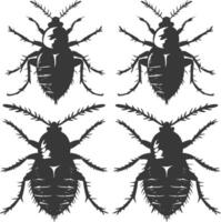 Silhouette lice animal black color only vector