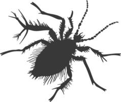 Silhouette lice animal black color only vector