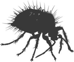 Silhouette lice animal black color only vector