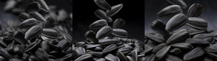 Falling sunflower seeds isolated on a black background photo