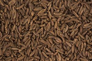 Cumin seeds background or texture photo
