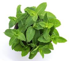 Fresh mint leaves bunch isolated on white background, top view photo