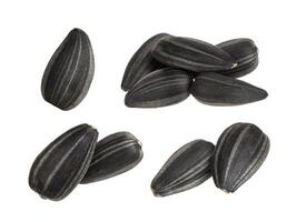 Close-up of black sunflower seeds photo