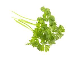 Parsley isolated on white photo