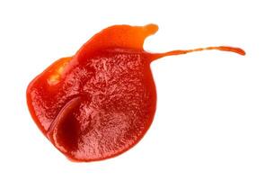 salsa de tomate o tomate salsa aislado foto