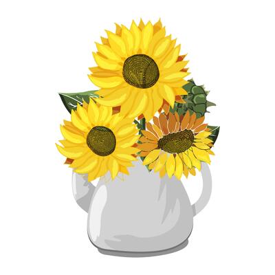 Sunflowers in teapot. Bouquet of yellow flowers in gray iron kettle. Wildflower heads. Kitchen utensils. Rustic summer image for card. Botany. Drawn. Isolated on white background. illustration