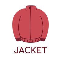 Warm Jacket. Word in English for dictionary. Outerwear element. Zipper. Learning, teaching Language for children. Casual Clothes, wardrobe. Isolated object. Flat design. Color illustration vector