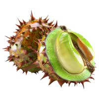 3D Rendering of a Chestnut on Transparent Background png