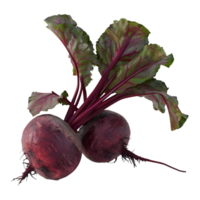 3D Rendering of a Purple Beetroot on Transparent Background png