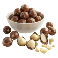 3D Rendering of a Macadamia Nuts on Transparent Background png