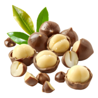 3D Rendering of a Macadamia Nuts on Transparent Background png