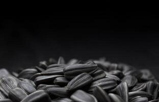 Black sunflower seeds background with copy space photo