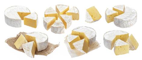 queso Camembert queso aislado en blanco antecedentes con recorte camino. grande colección foto