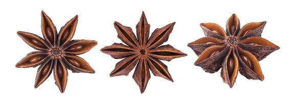 Anise star isolated on white background with clipping path photo