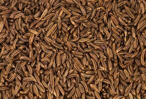 Cumin seeds background or texture photo