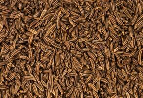 Cumin seeds background or texture photo