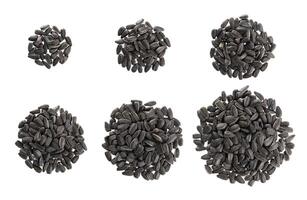 Heap of black sunflower seeds isolated on white photo