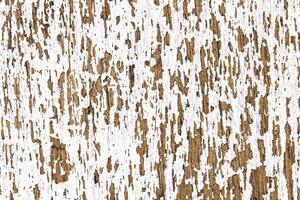 Old white wooden texture photo