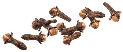 Falling dry cloves isolated on white background photo