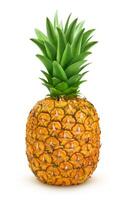 Ripe pineapple isolated on white background with clipping path photo