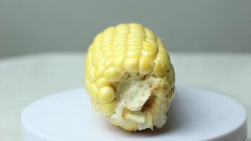 rå ung majs utan skal är placerad på de roterande visa stå video