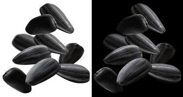 Falling black sunflower seeds isolated on white background photo