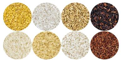 Rice pattern. Different types of rice on white background photo