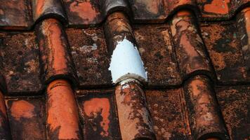 House tiles that are painted are leak-proof so that water doesn't seep in. photo