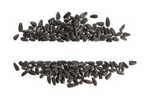 Frame of black sunflower seeds isolated on white photo