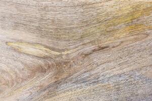 Close-up of light wood texture photo