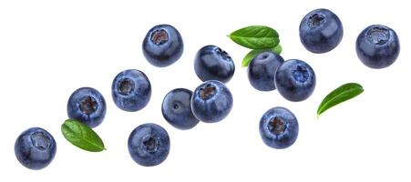 Blueberry isolated on white background with clipping path photo