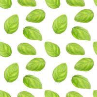 Basil leaf herb seamless pattern photo