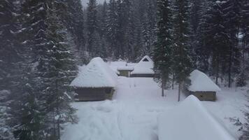 fliegend Über Dorf im Wald im Winter. schneebedeckt Baum Ast im ein Aussicht von das Winter Wald. Antenne Aufnahmen video