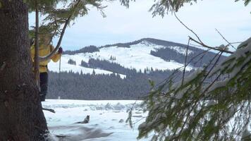 inverno Esportes e lazer caminhada conceito. uma homem com uma mochila anda em dentro a inverno floresta. cárpato montanha faixa. 4k video