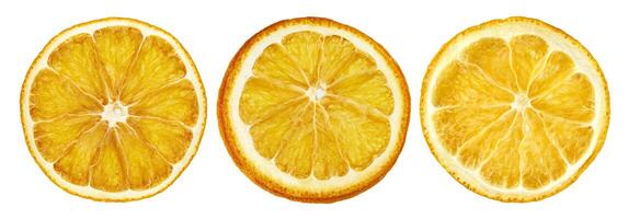 Dried orange slices isolated on white background photo