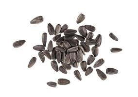 Pile of black sunflower seeds isolated on white background photo