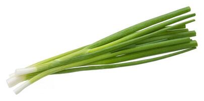 Green onion, fresh chives isolated on white background photo