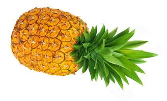 Ripe pineapple isolated on white background with clipping path photo