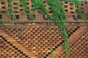 The arrangement of the bricks arranged in such a way forms a very beautiful building wall photo